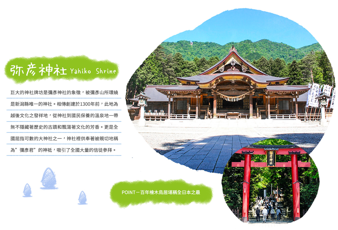 00001794.JPG (1170×798)