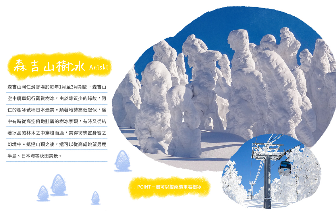 00003485.JPG (1170×752)