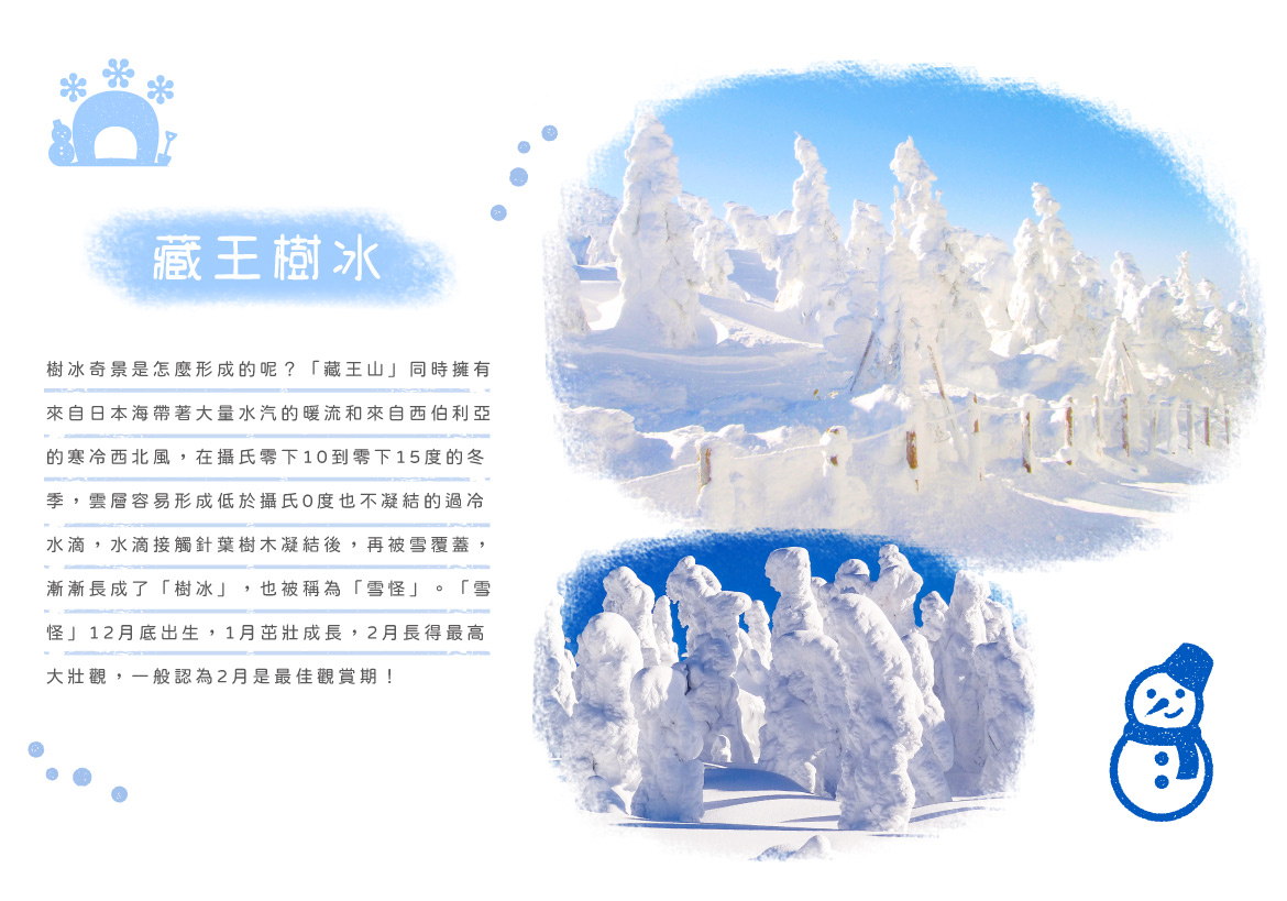 00006693.JPG (1170×819)