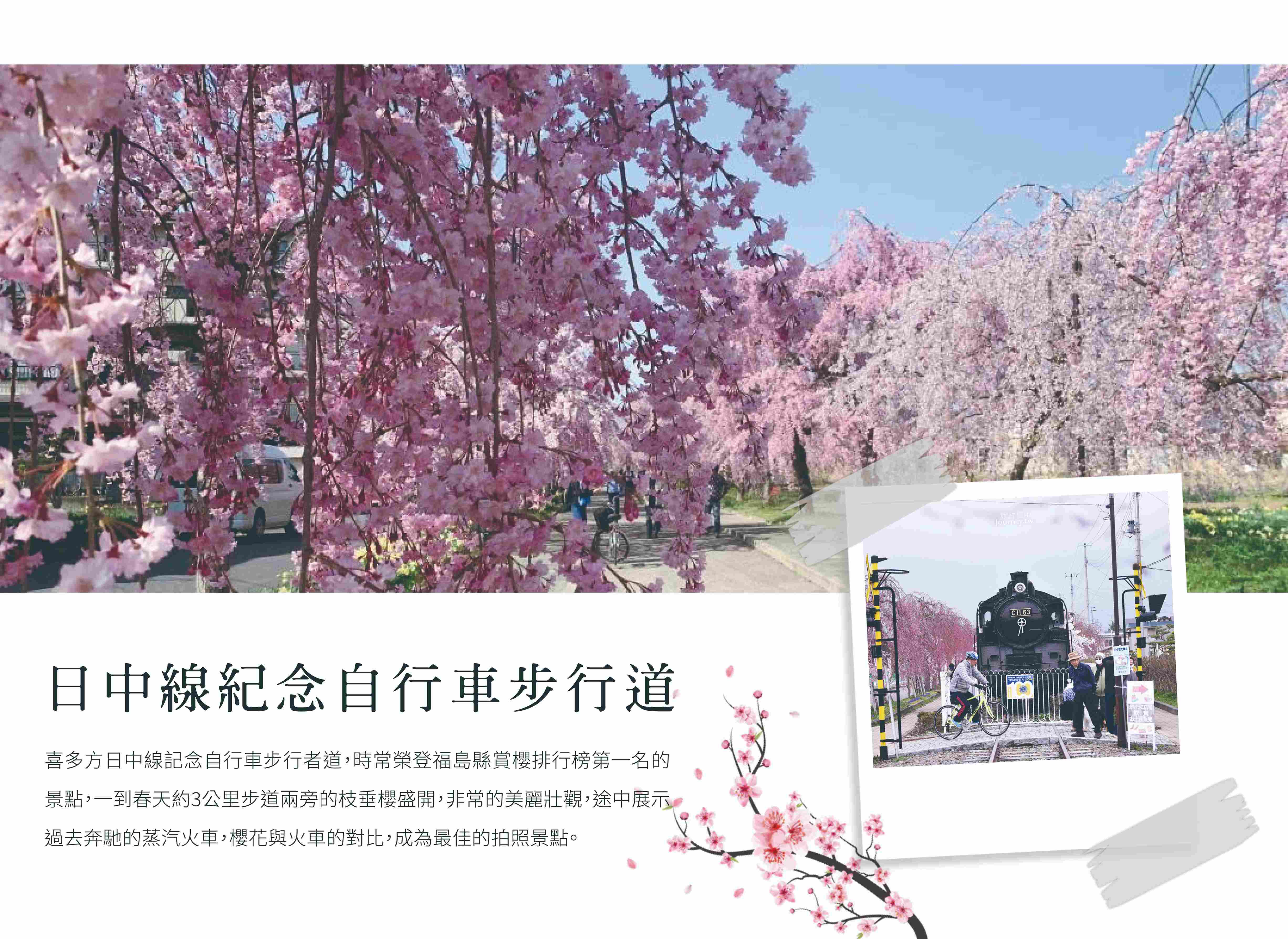 00004201.JPG (4905×3576)