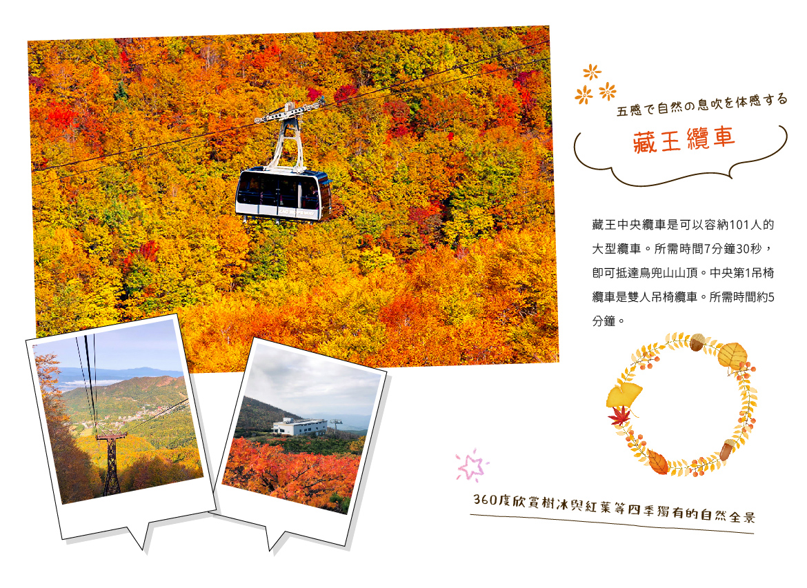 00006284.JPG (1170×853)