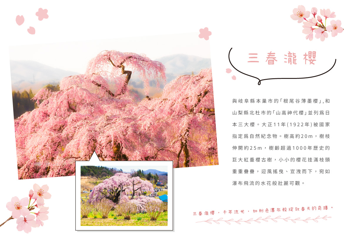 00007035.JPG (1170×819)