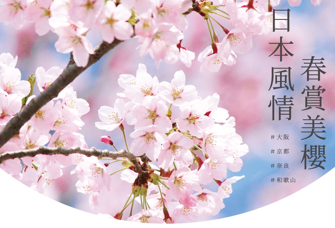 00003929.JPG (1170×795)