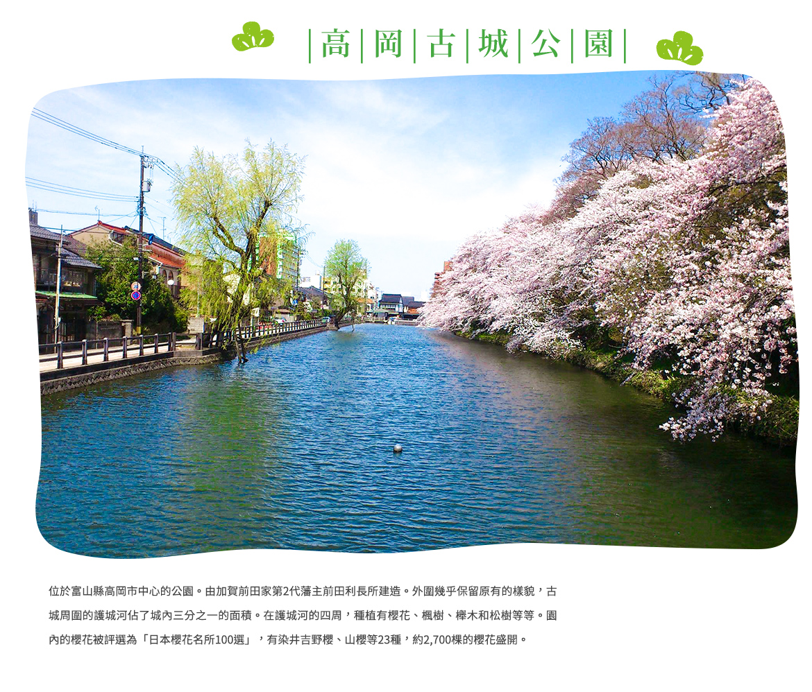 00001293.JPG (1170×998)