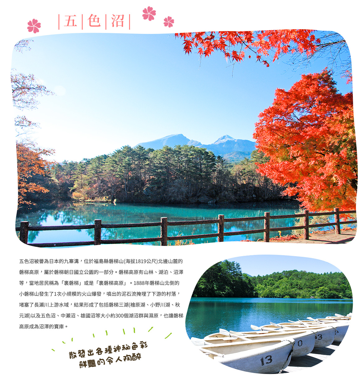 00003045.JPG (1170×1232)