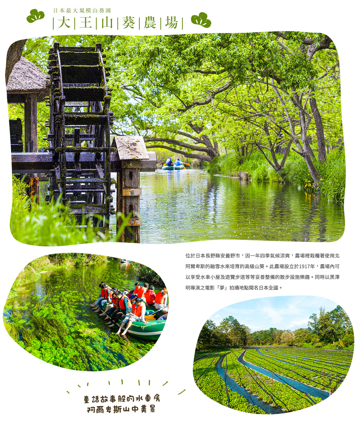 00003455.JPG (1170×1382)