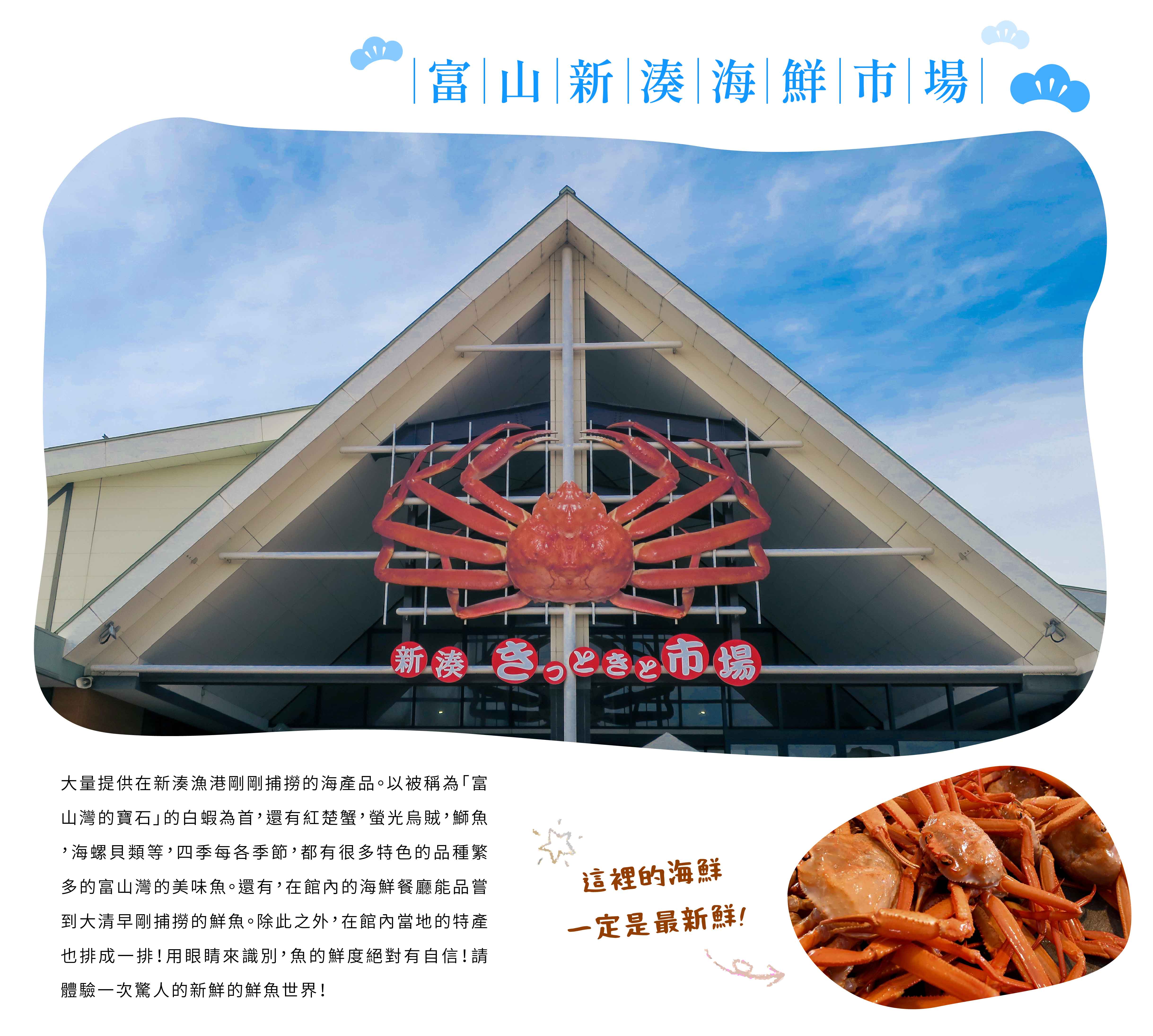 00005710.JPG (4875×4380)