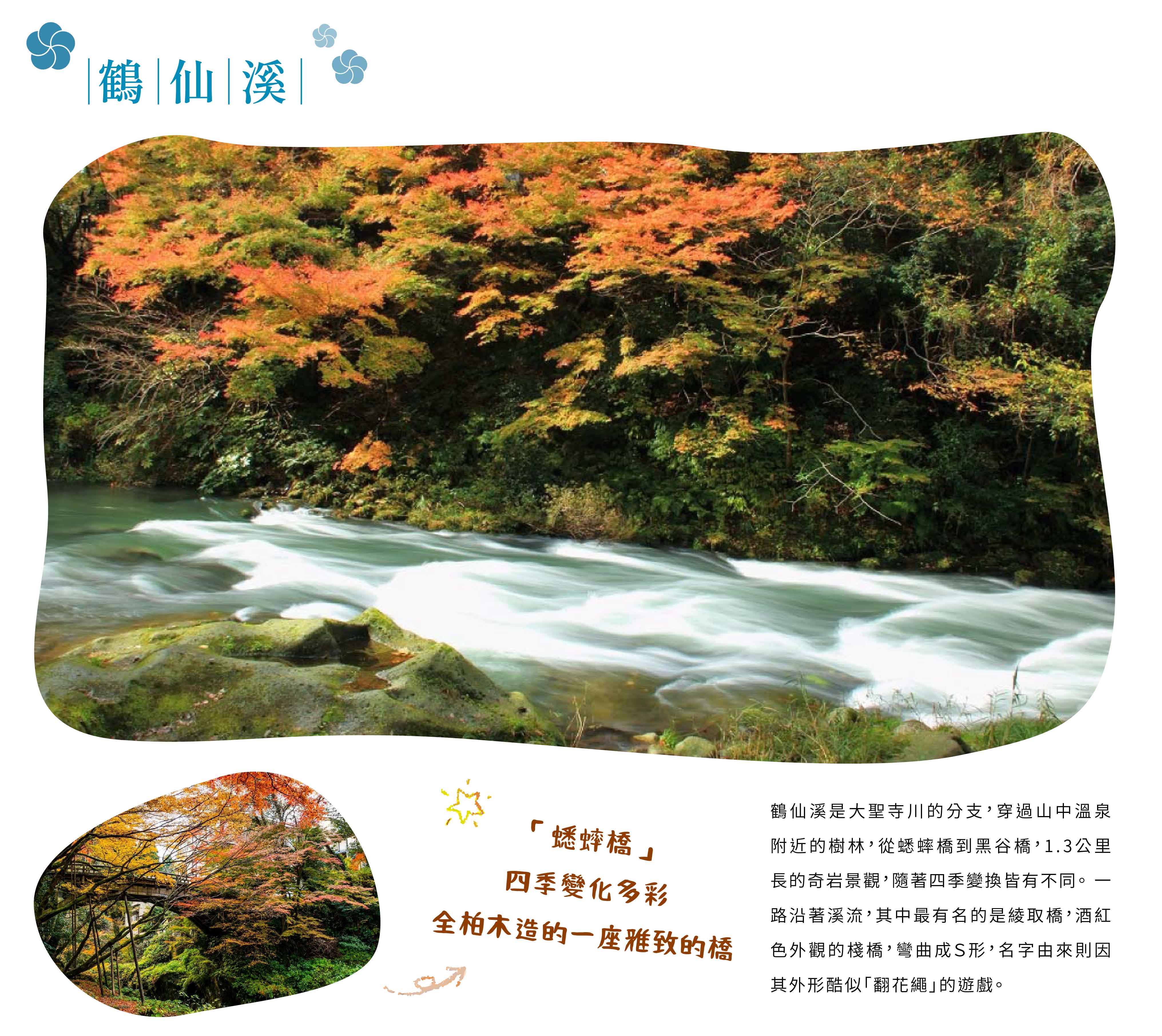 00005969.JPG (4063×3622)