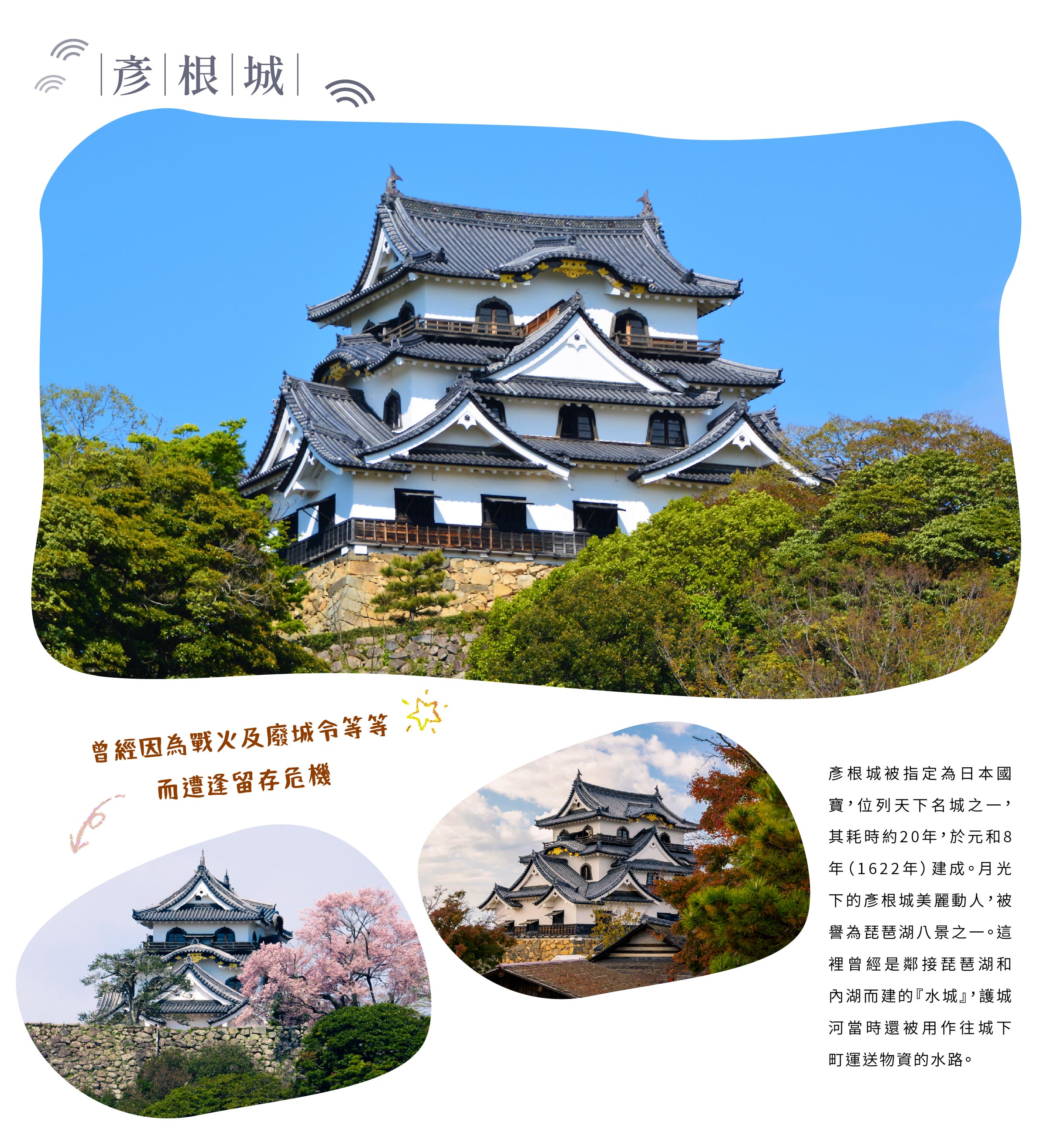 00006565.JPG (2438×2603)