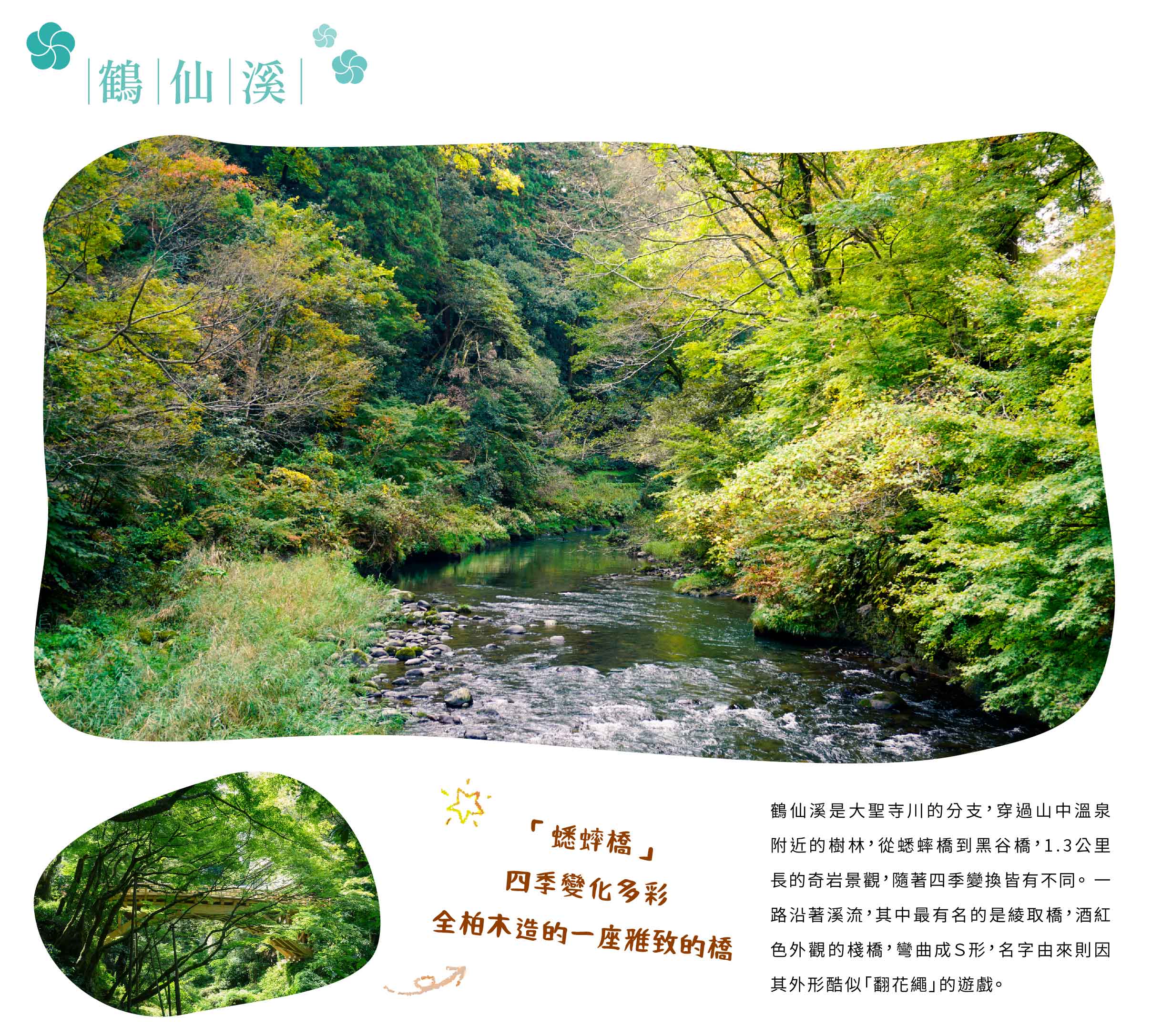 00006765.JPG (2438×2174)