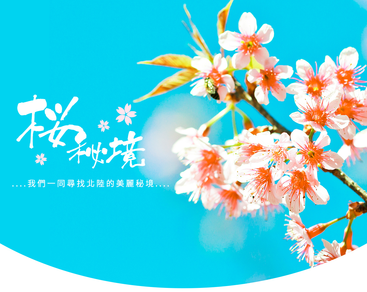 00001936.JPG (1170×931)