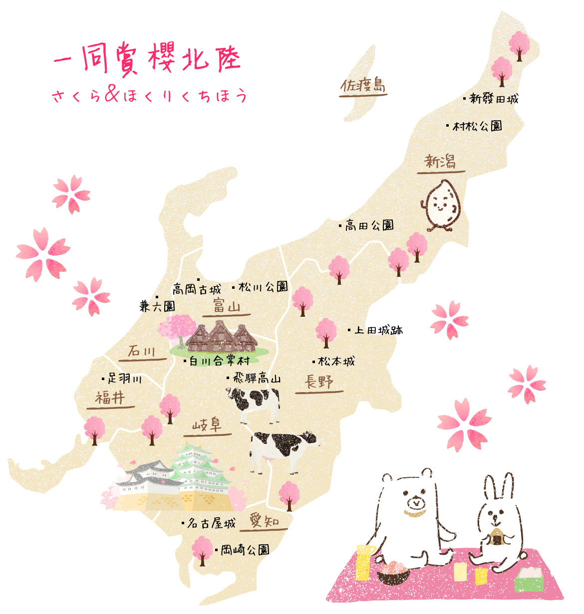 00003876.JPG (1170×1231)