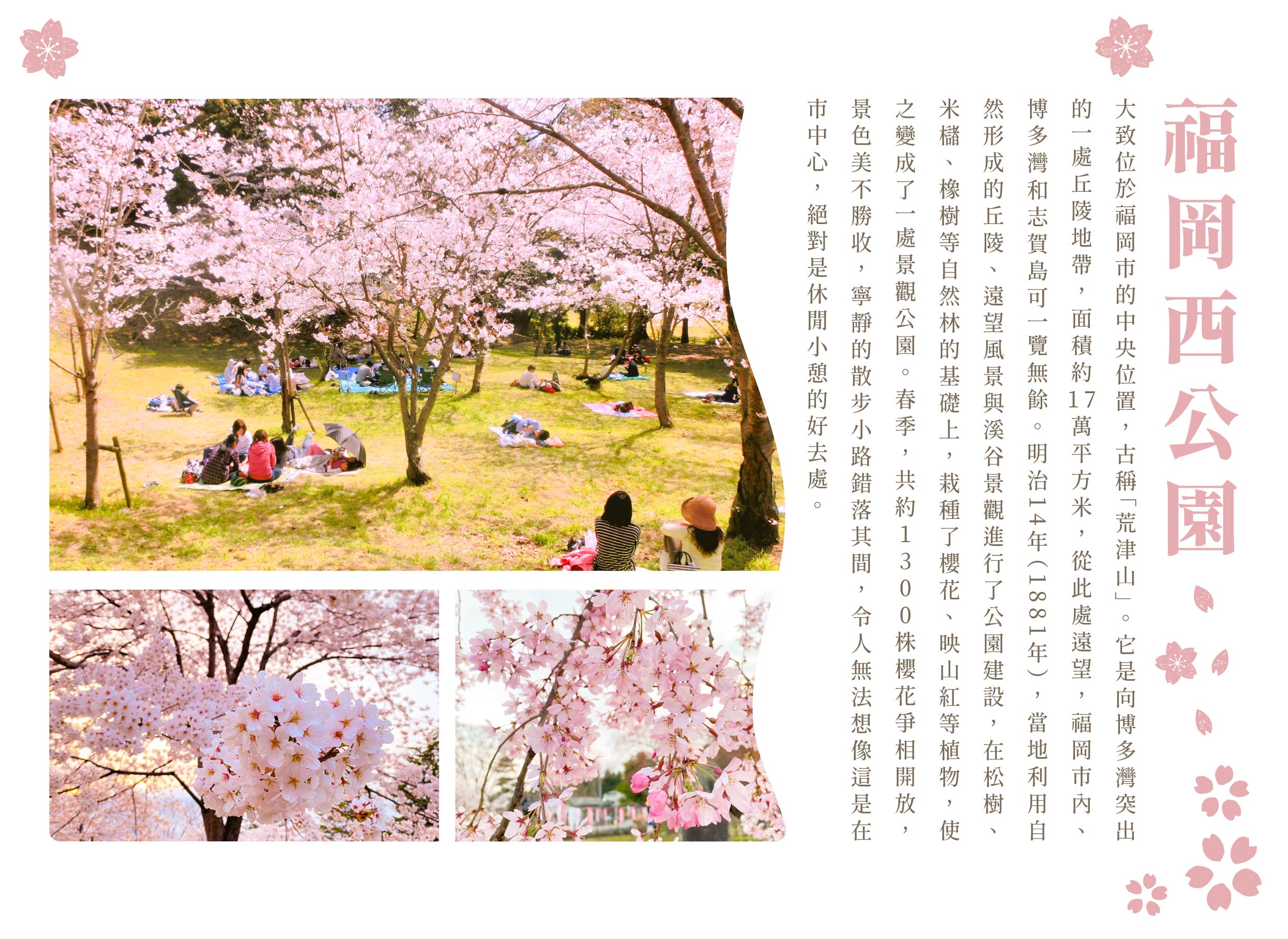 00005646.JPG (2437×1777)