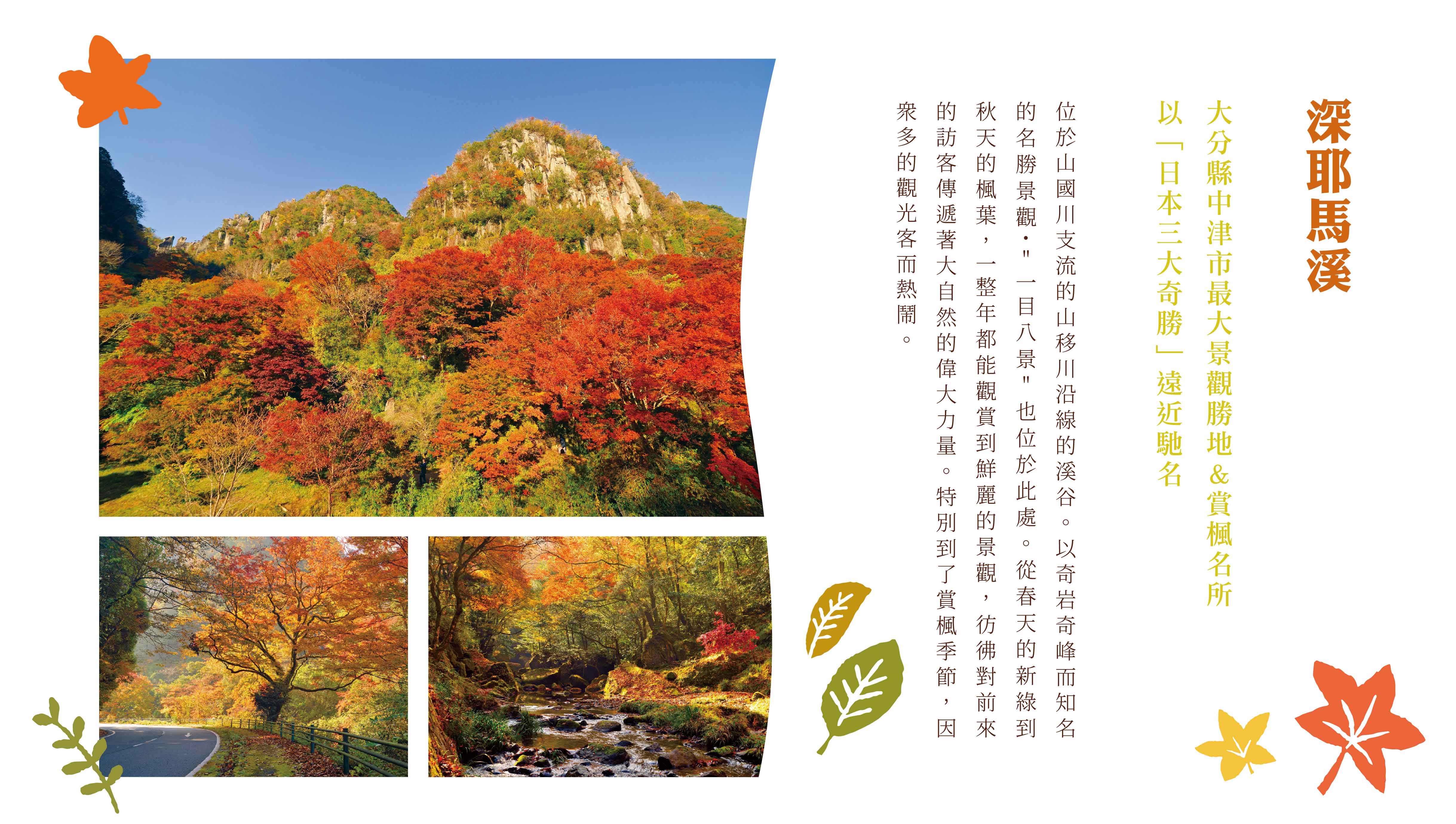 00006191.JPG (4875×2761)