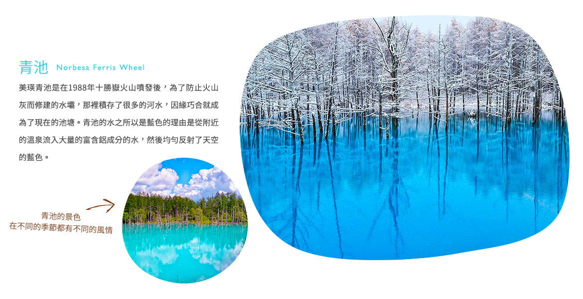 00001645.JPG (1170×600)