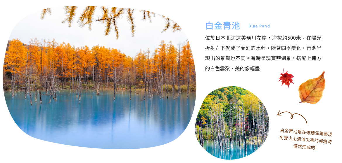 00006255.JPG (1170×559)