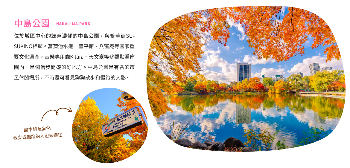 00006256.JPG (1170×562)