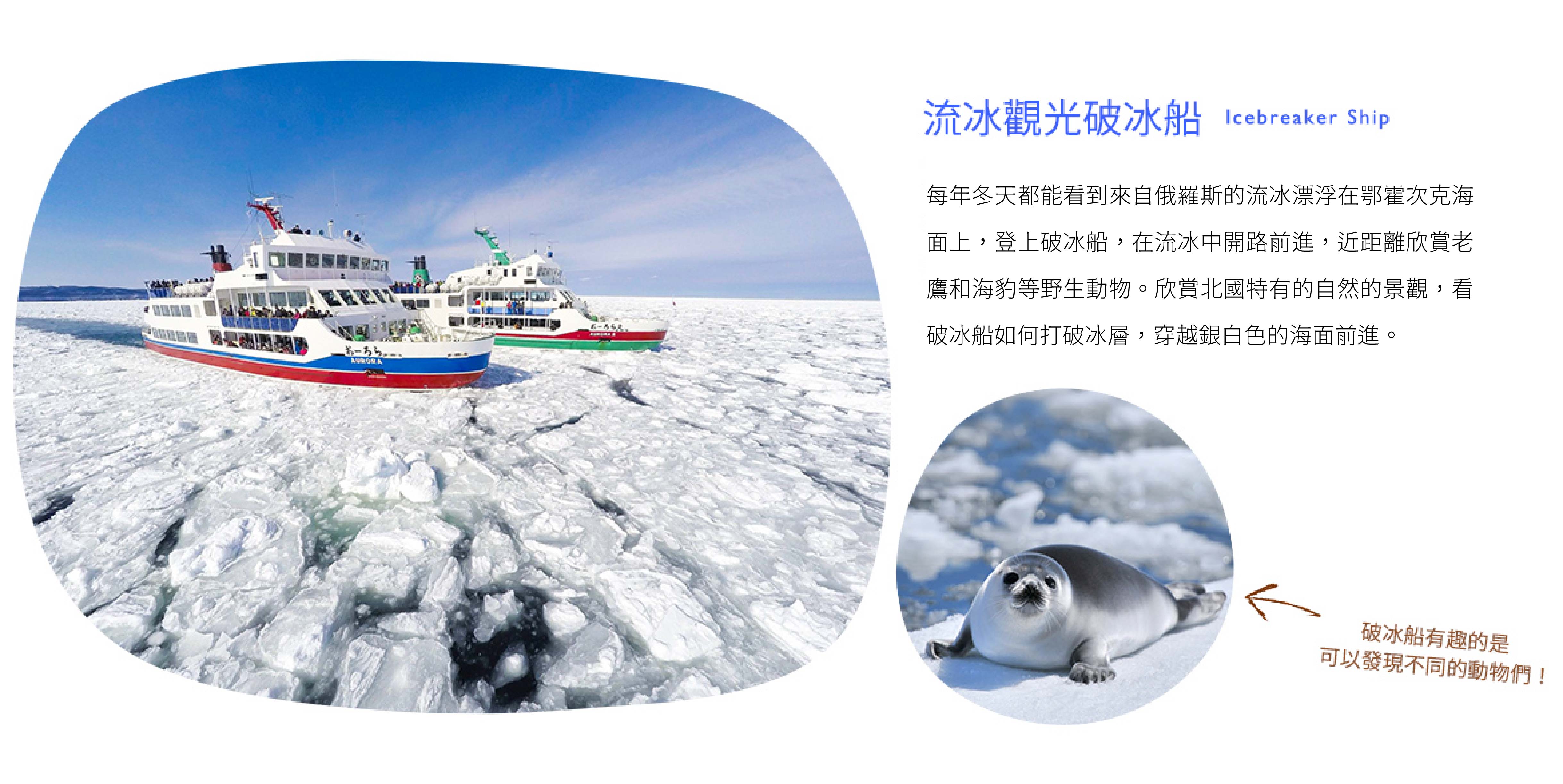 00006708.JPG (4875×2447)