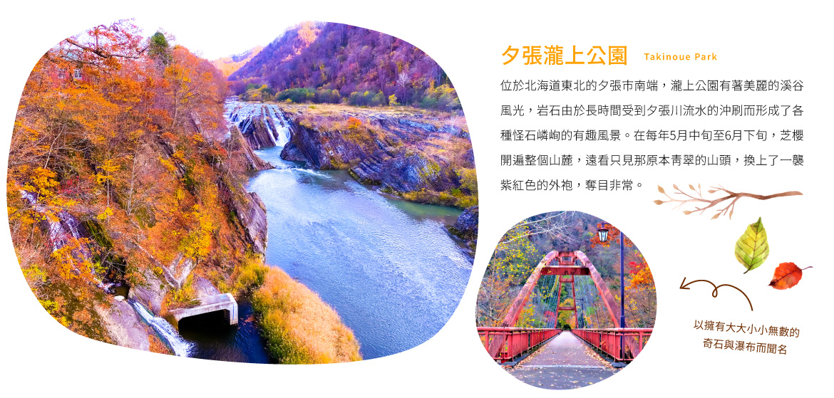 00006999.JPG (1170×559)