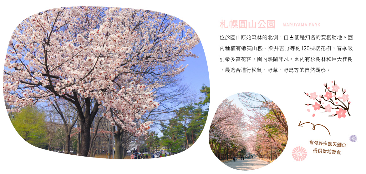 00007025.JPG (1170×559)