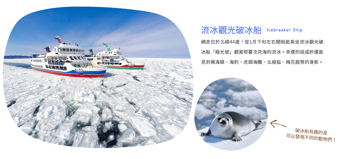 00001542.JPG (1170×550)