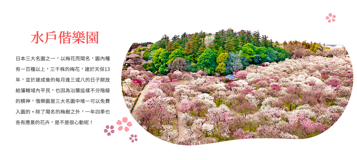 00003095.JPG (1170×526)