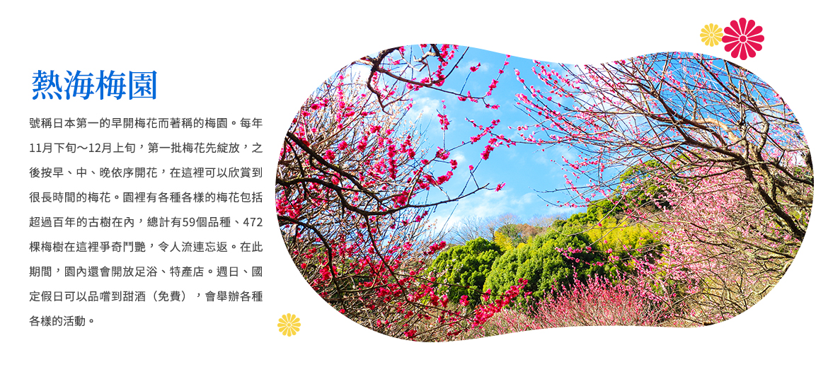 00003126.JPG (1170×519)