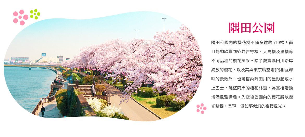 00003964.JPG (1170×527)