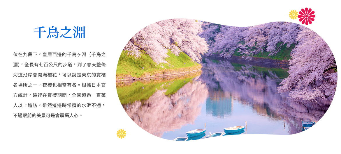 00003966.JPG (1170×530)