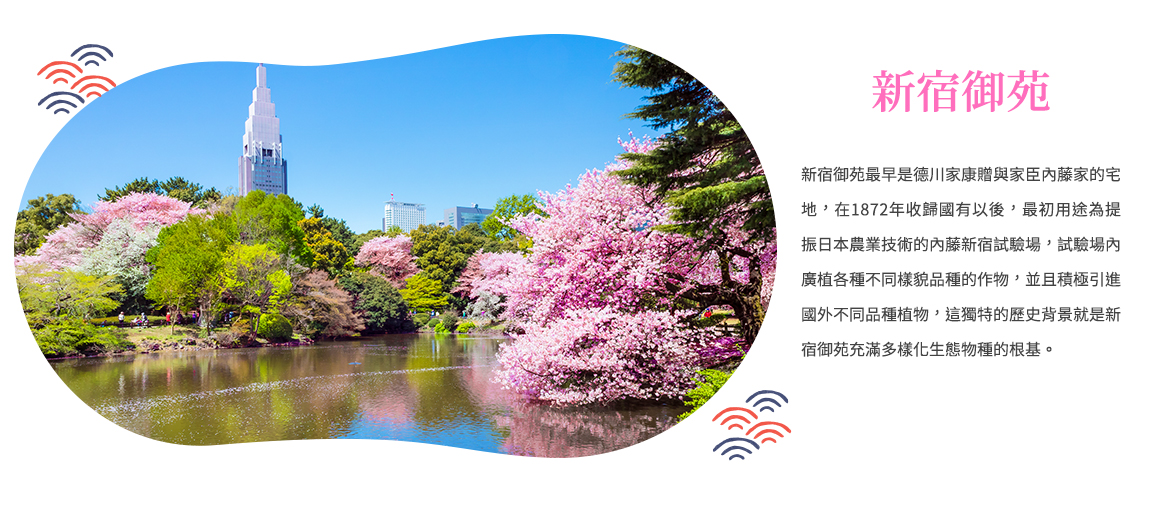 00003967.JPG (1170×507)