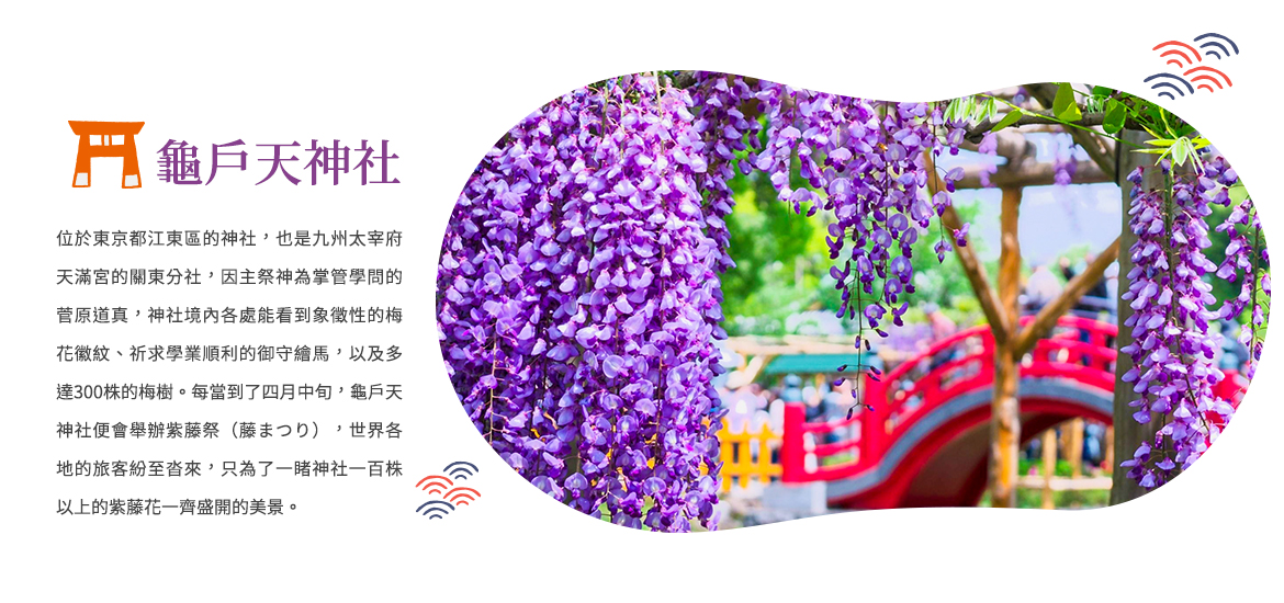 00003969.JPG (1170×550)