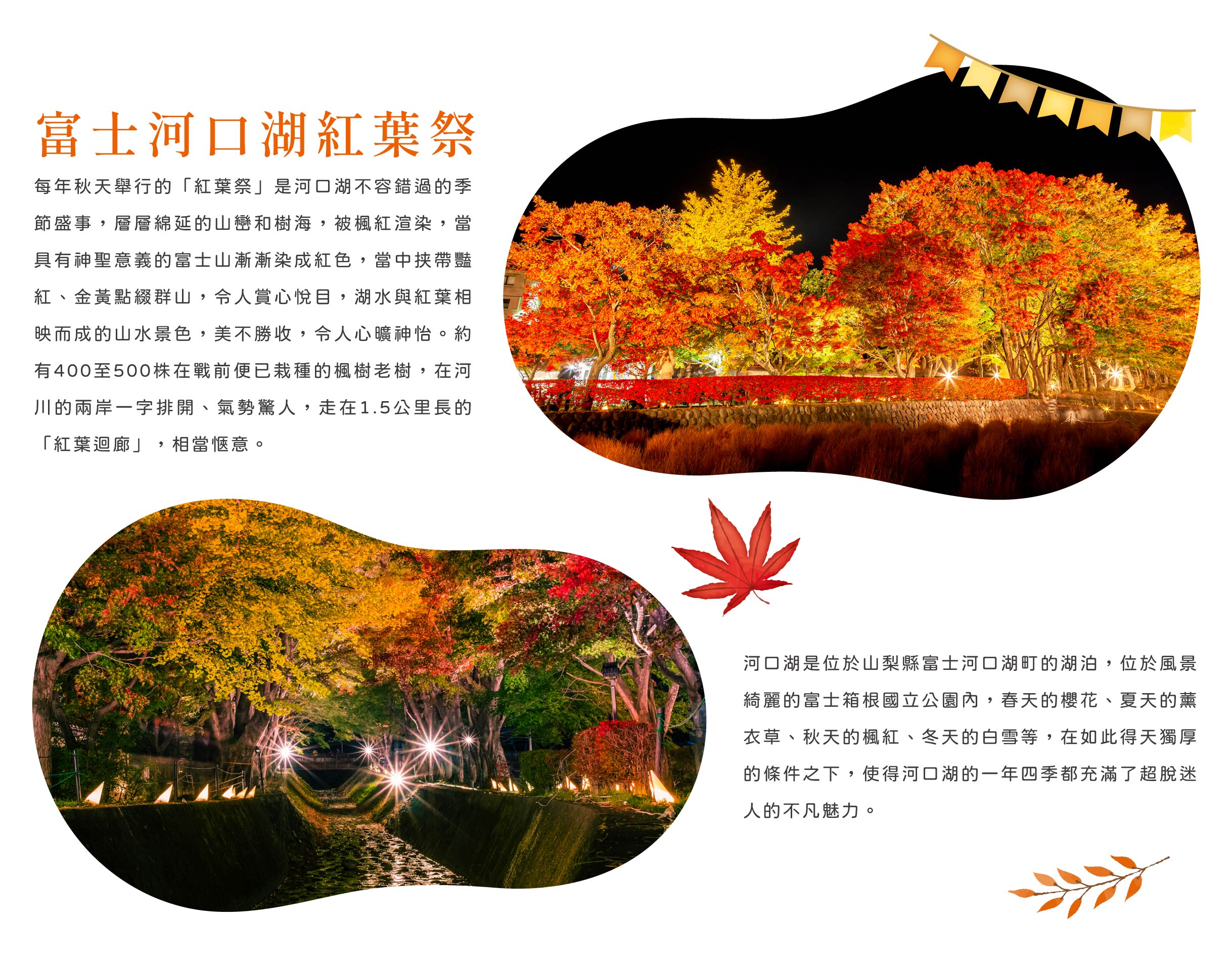 00006144.JPG (2437×1922)