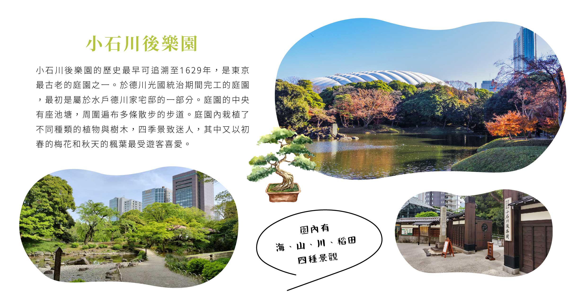 00006868.JPG (2438×1277)