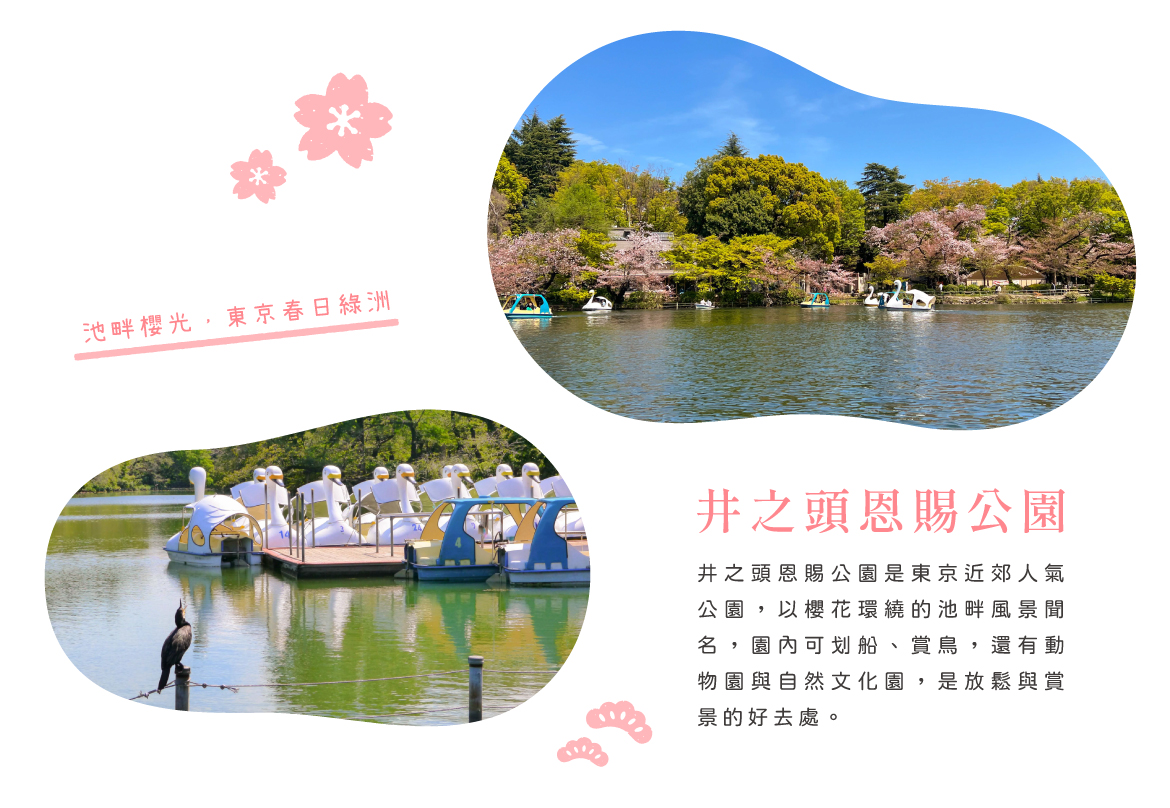 00007310.JPG (1170×808)