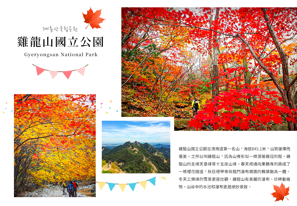 00003172.JPG (1170×814)