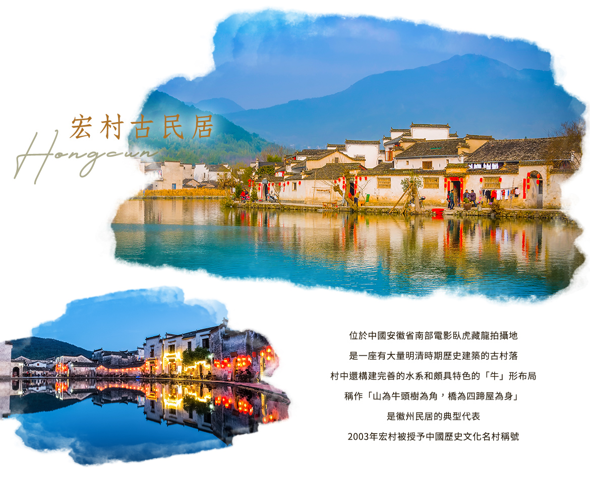 00002310.JPG (1170×949)