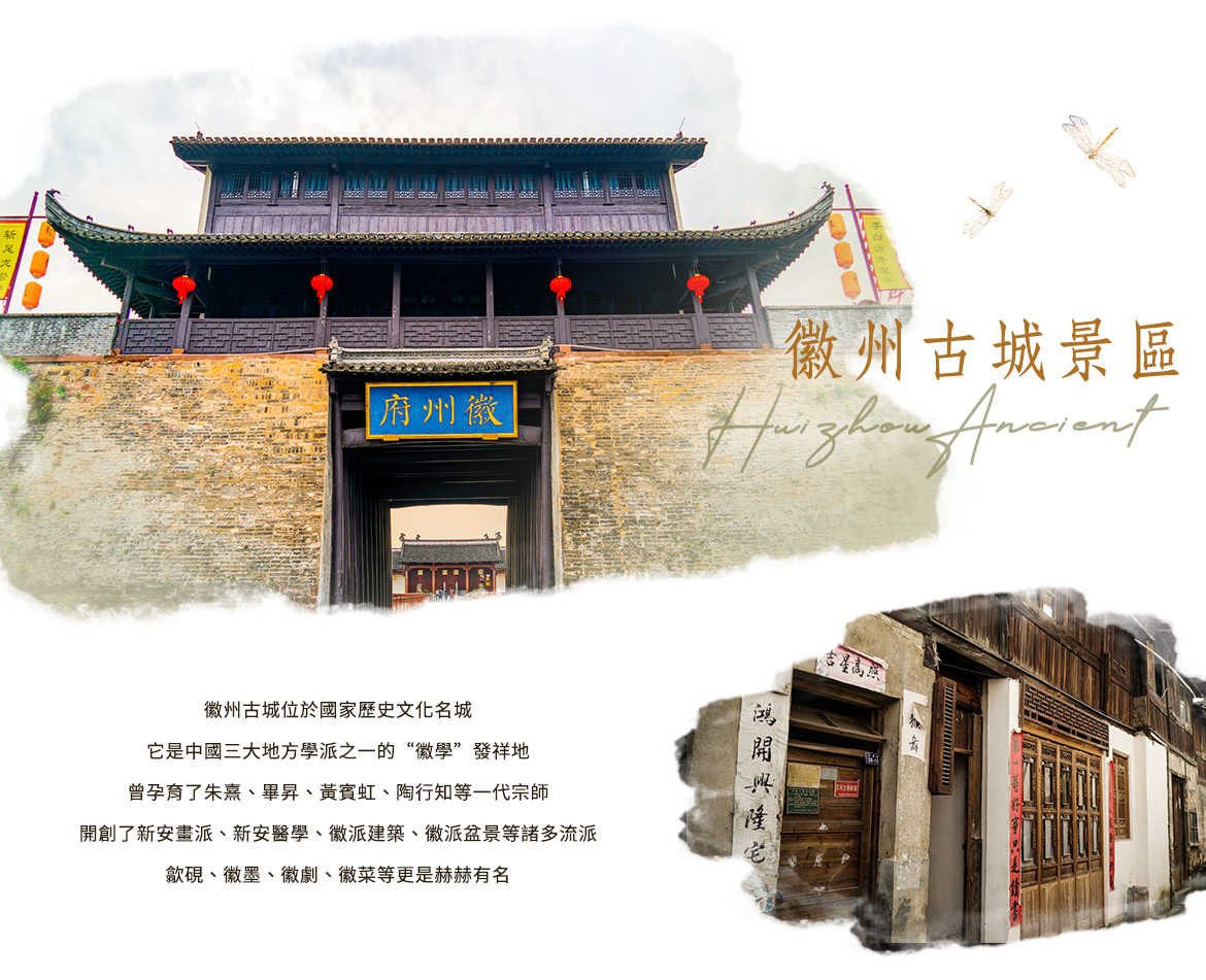 00002311.JPG (1170×951)