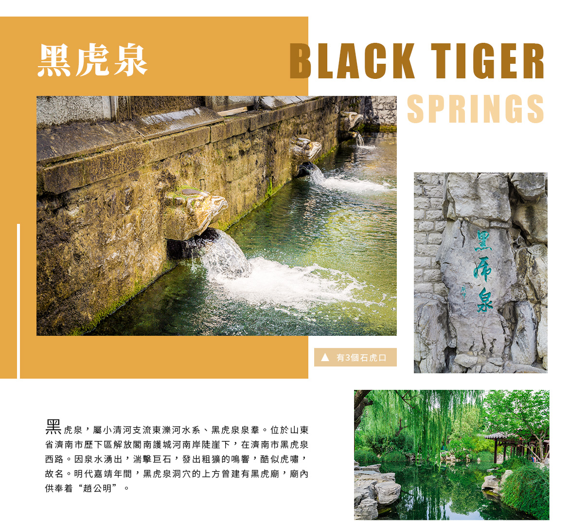 00005210.JPG (1170×1091)