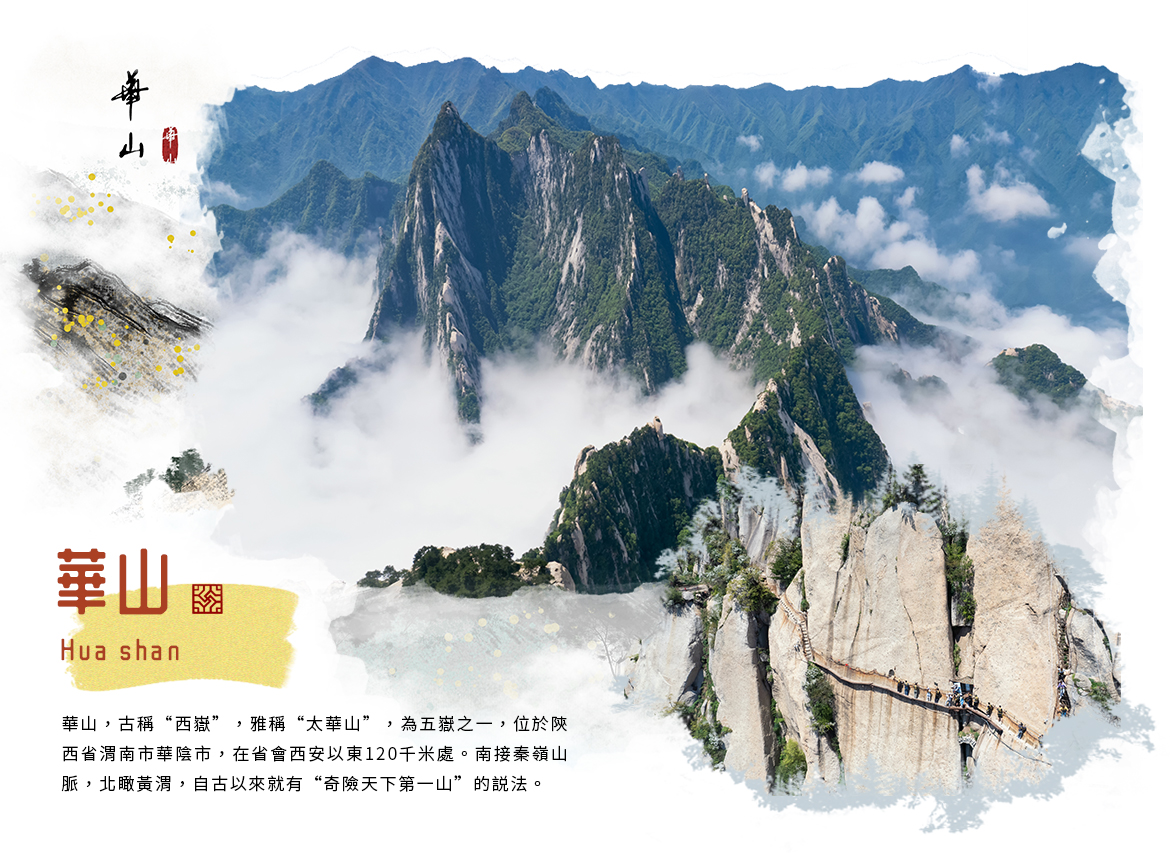 00005202.JPG (1170×853)