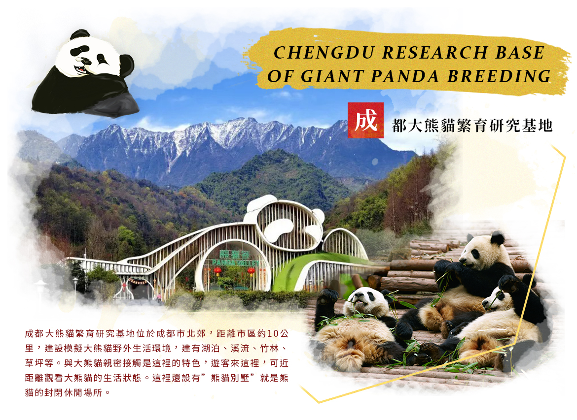 00005160.JPG (1170×853)