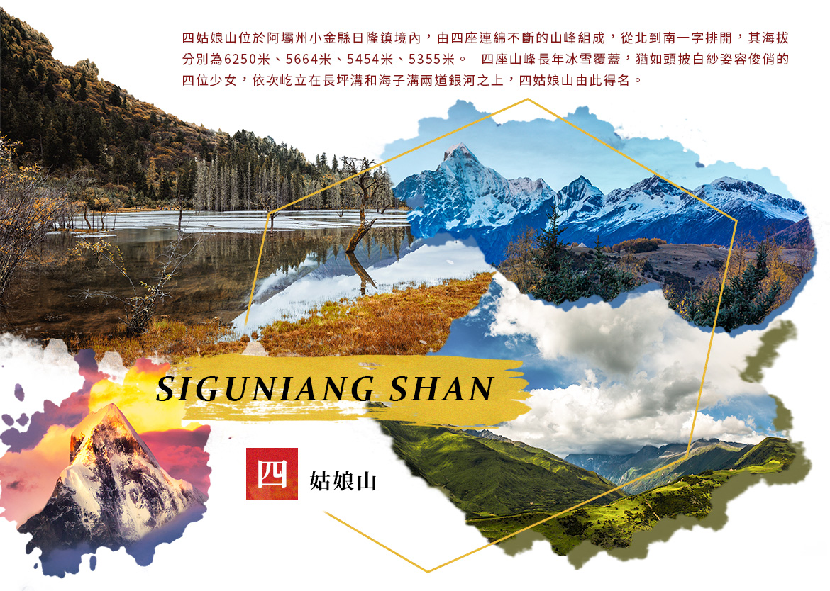 00005237.JPG (1170×834)