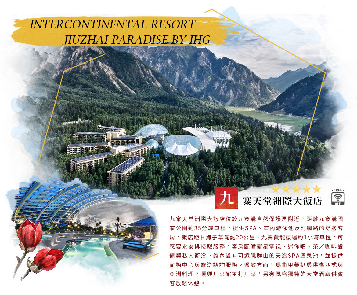 00007461.JPG (1170×965)