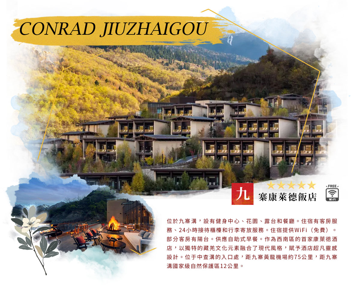 00007512.JPG (1170×965)