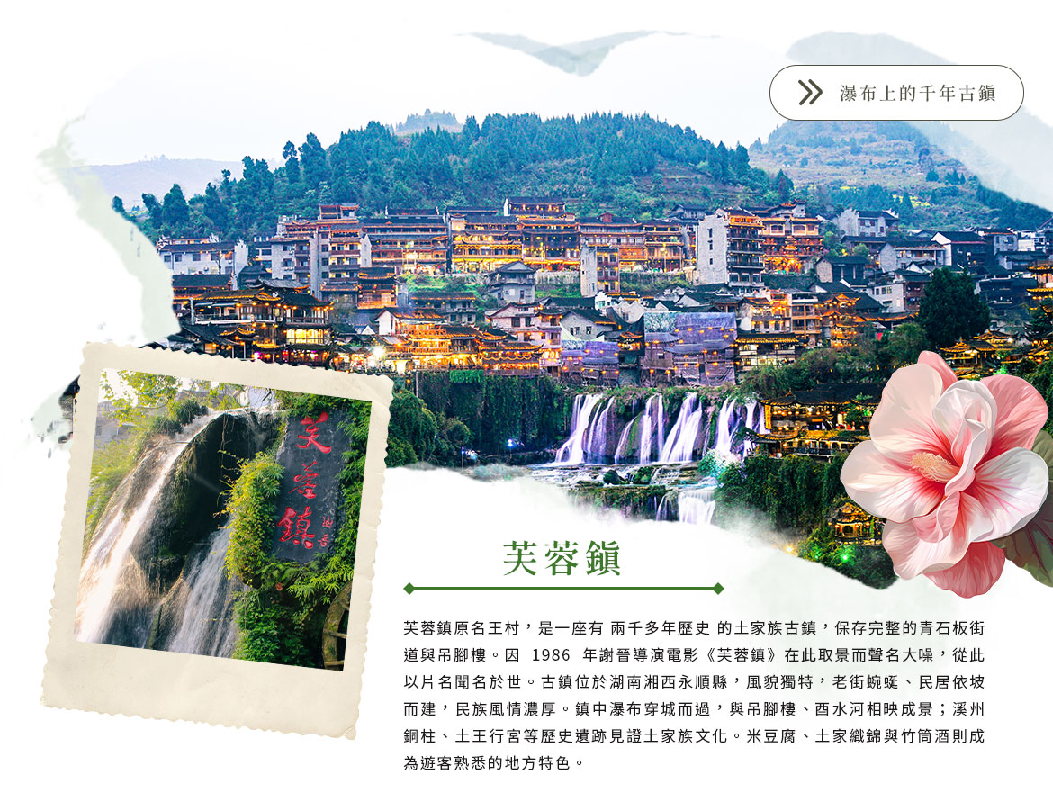 00007458.JPG (1170×891)