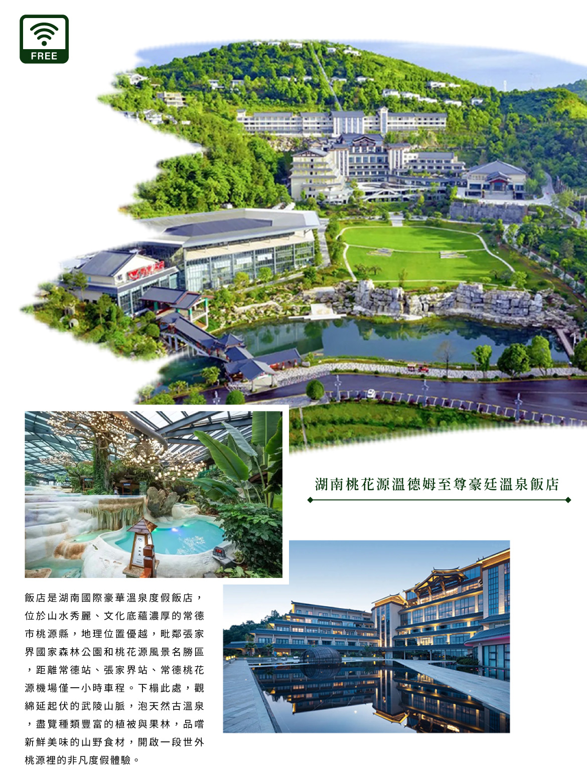 00007060.JPG (1170×1554)