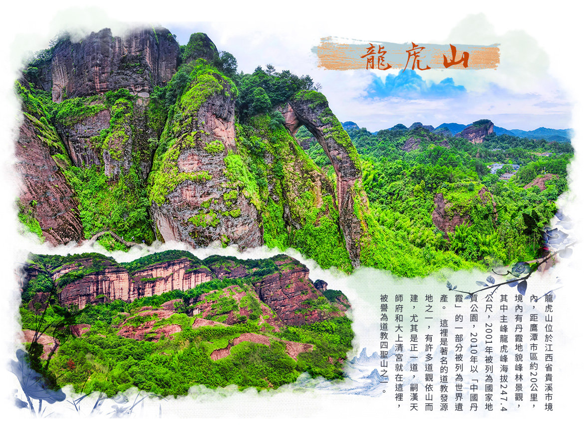 00005270.JPG (1170×853)