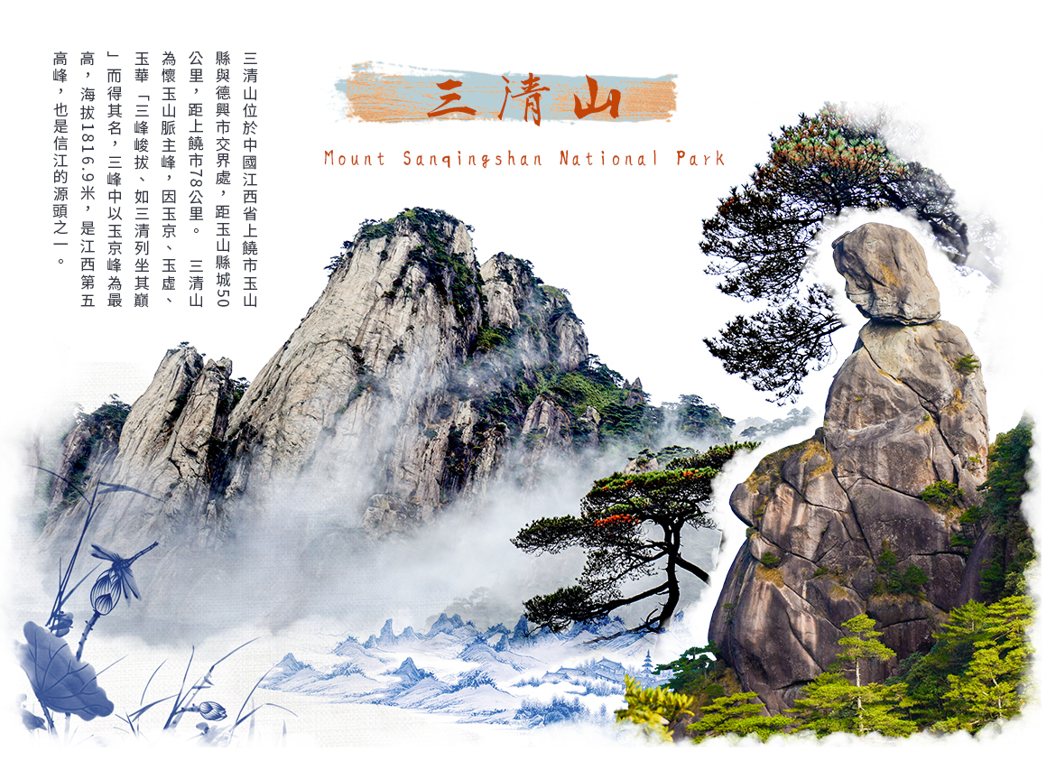 00005471.JPG (1170×853)