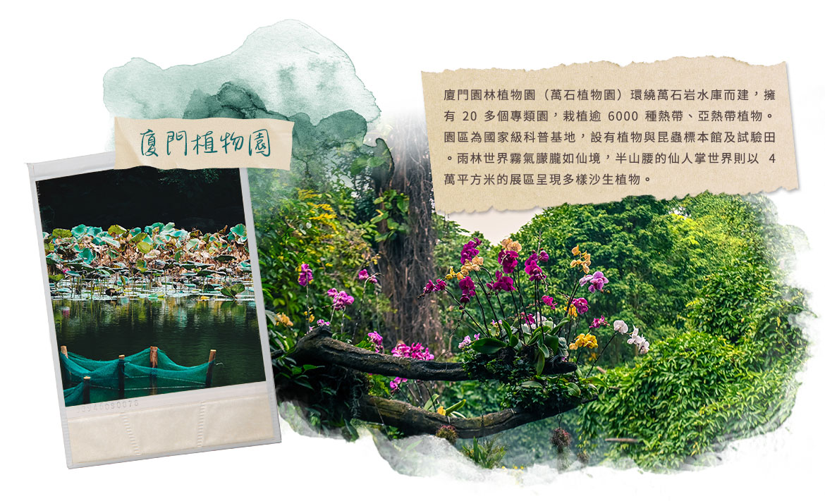 00007449.JPG (1170×711)