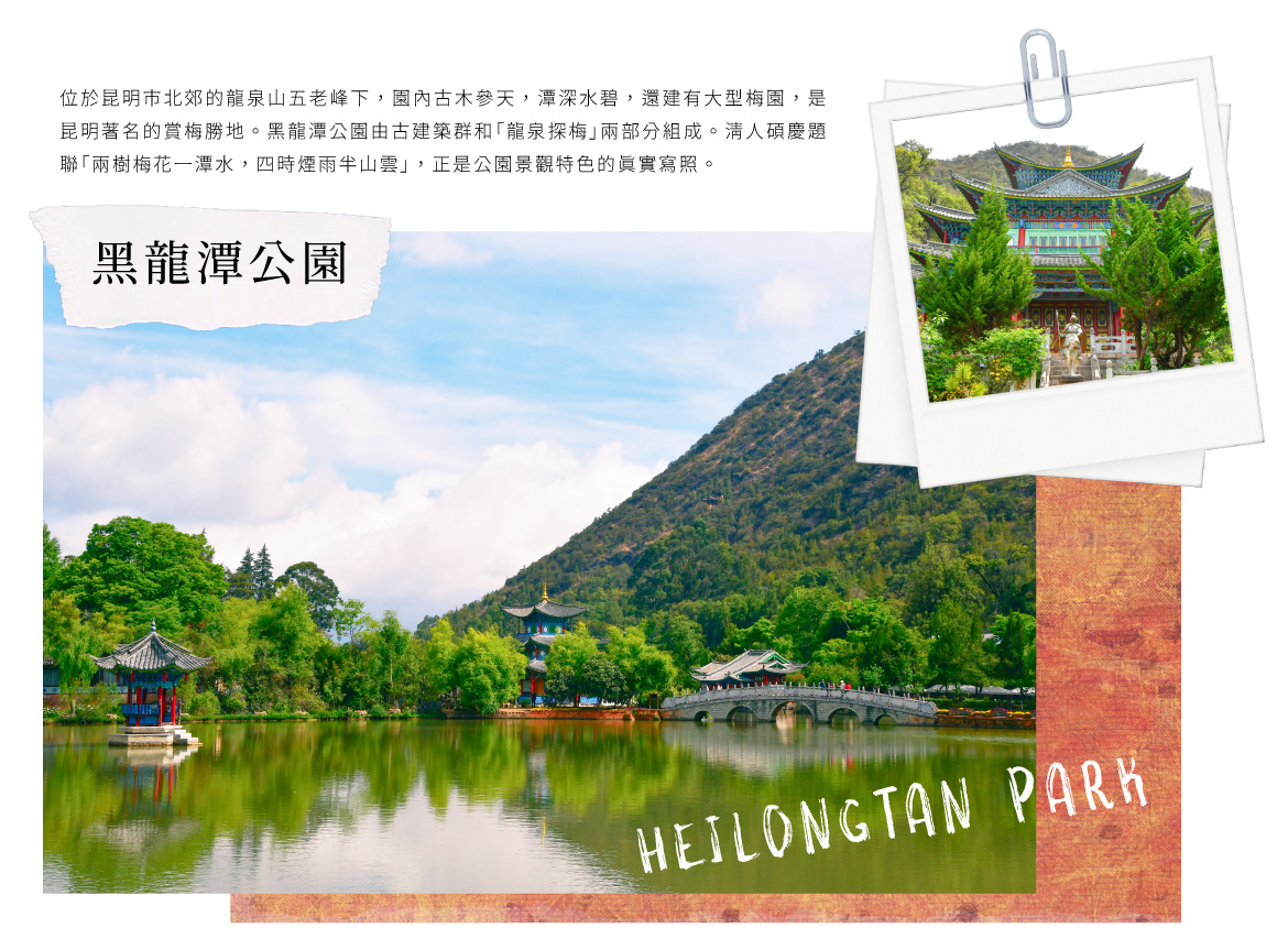 00007089.JPG (1170×853)