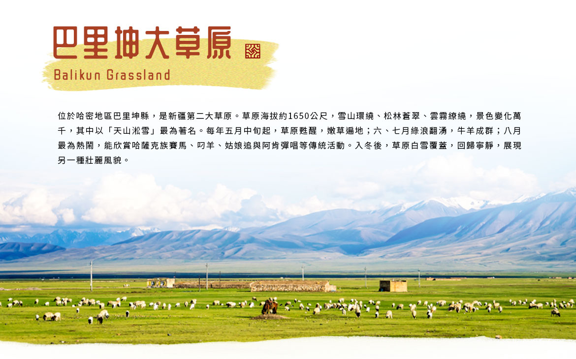 00007504.JPG (1170×730)